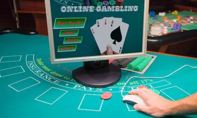 online casino review tool